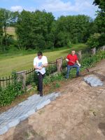 Zdjęcie WhatsApp 2025-06-07 o 17.23.34_1fe32e32